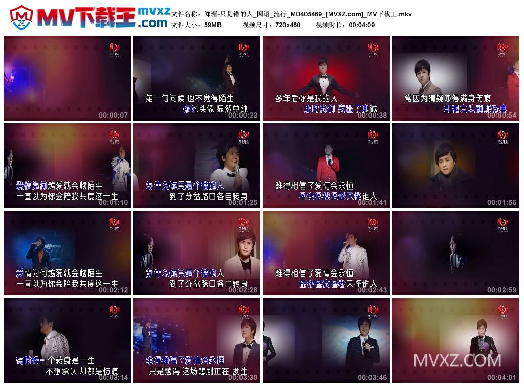 郑源-只是错的人_国语_流行_MD405469